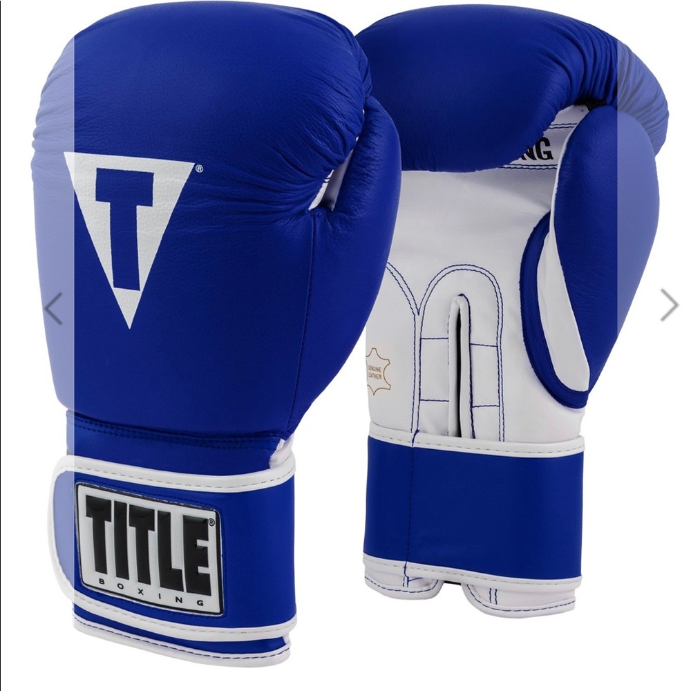 Title Pro style boxing gloves. 🥊